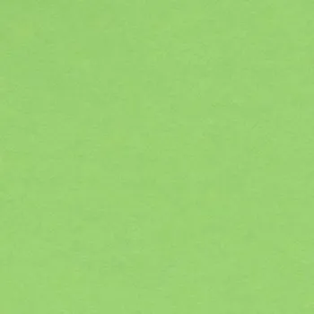 Cartulina Verde Manzana