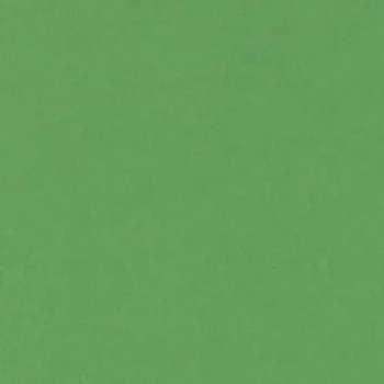 Cartulina Verde Billar