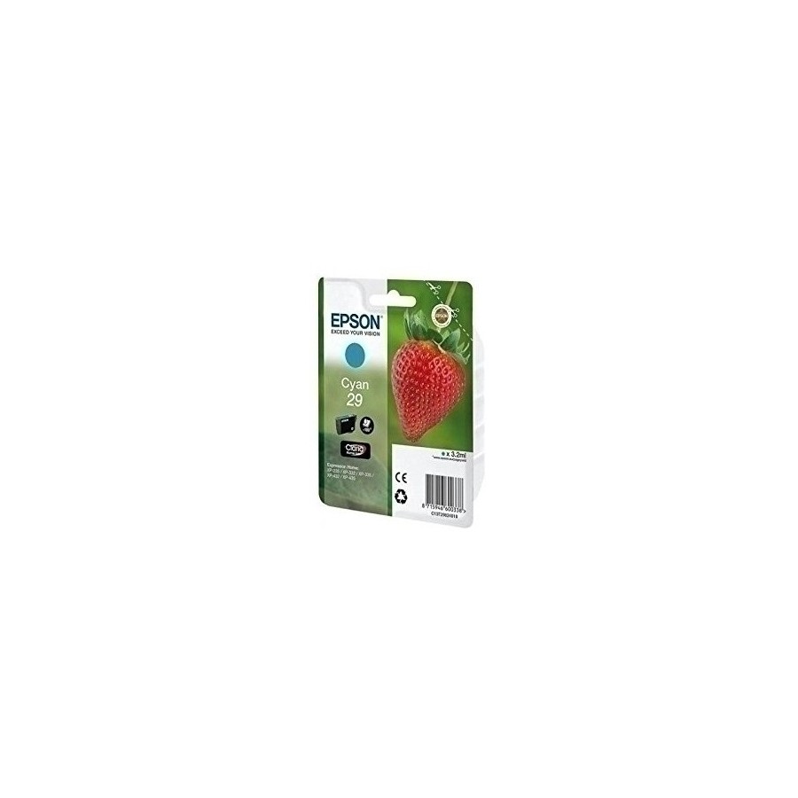 CART.IJ.EPSON T298240 Nº29 CIAN
