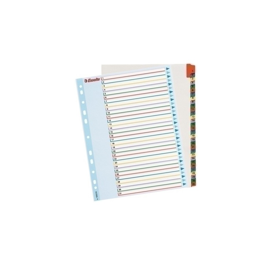 INDICE ESSELTE CART.BORR.NUM.A4+ ps.1-31