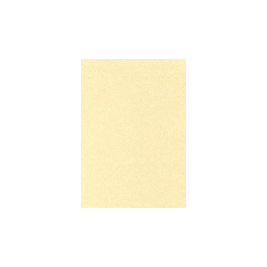 PAPEL PERGAMINO A4 APLI 95g 100h CHAMPAN