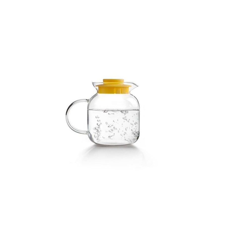 JARRA IBILI DE BOROSILICATO