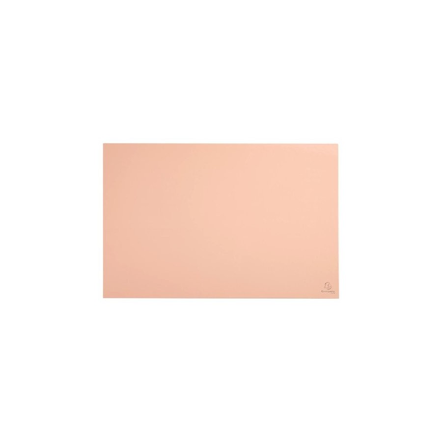 VADE SOBREMESA EXACOMPTA AQUAREL CARTON FORRADO 58x38 cm COMPATIBLE CON RATON CORAL