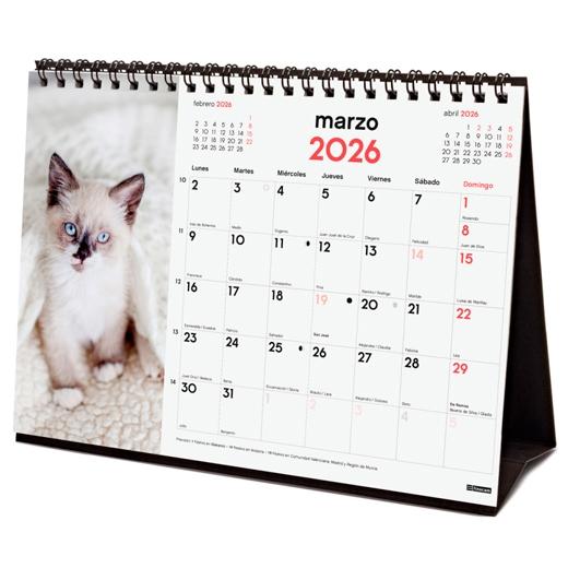 CALENDARIO (2026) FINOCAM SOBREMESA IMAGENES MENSUAL PARA ESCRIBIR S 210x150 GATITOS