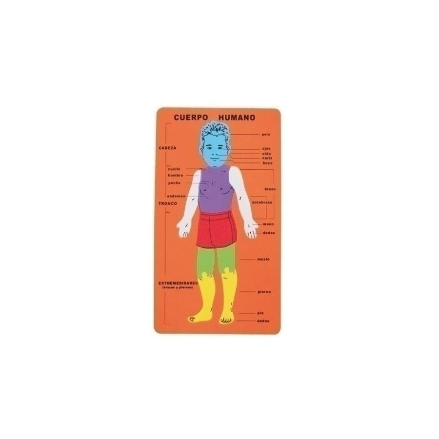 GOMA EVA FIXO KIDS PUZLE 20x32 cm. CUERPO HUMANO