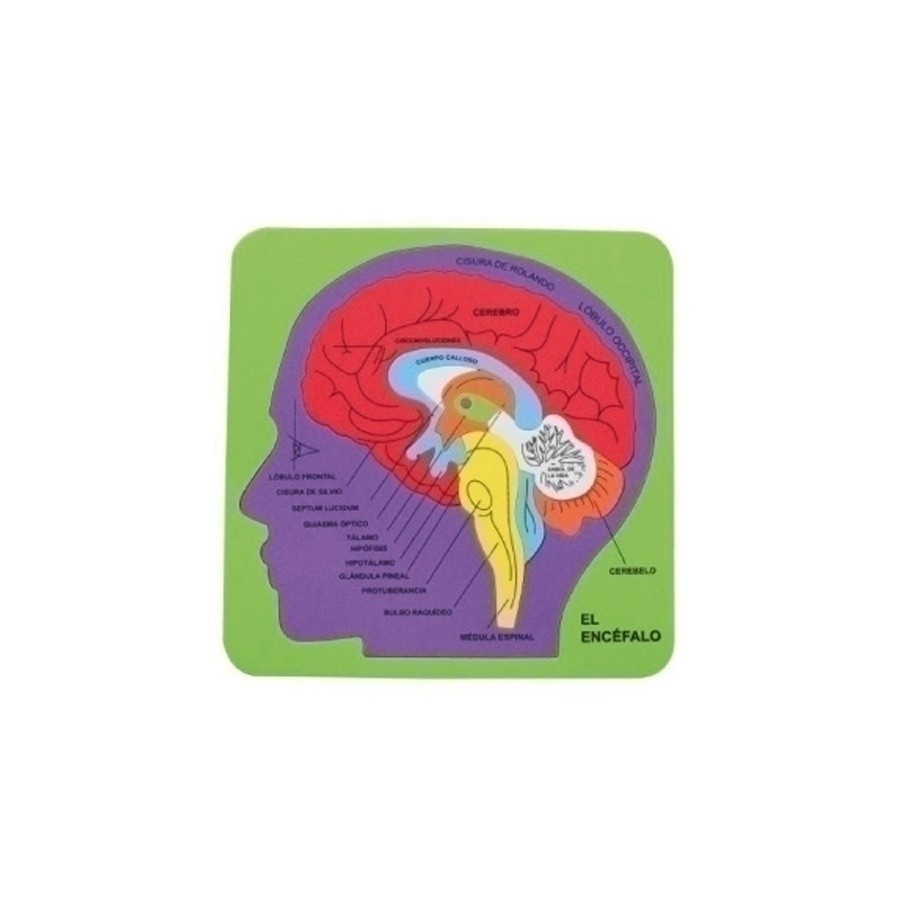 GOMA EVA FIXO KIDS PUZLE 21,2x21,5 cm. SISTEMA CEREBRAL