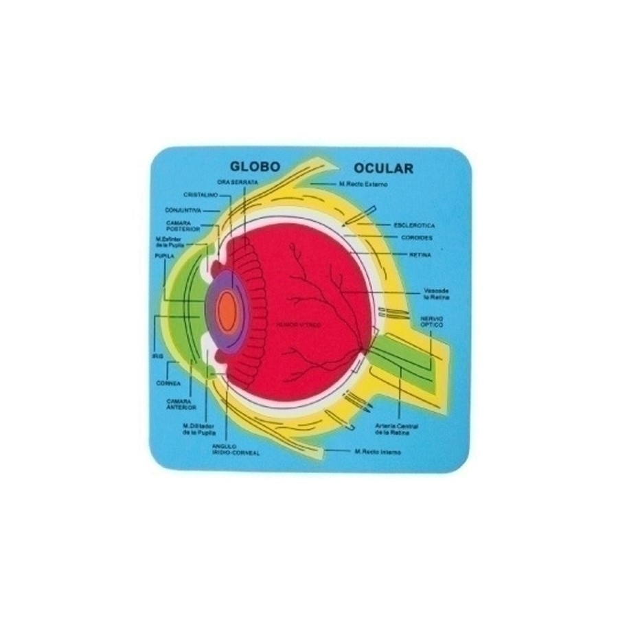 GOMA EVA FIXO KIDS PUZLE 21,2x21,5 cm. SISTEMA OCULAR