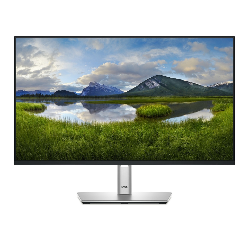 MONITOR LED 24" DELL DELL-P2425H 1080p 100Hz HDMI, VGA DISPLAYPORT