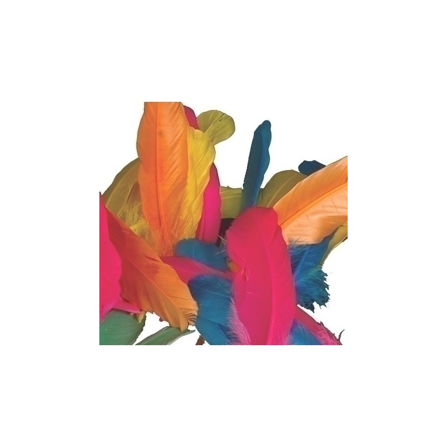 PLUMAS INDIO NIEFENVER BOLSA DE 50 UD (6 colores surtidos)