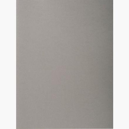 SUBCARPETA EXACOMPTA FOREVER 250 220g A4 GRIS PAQUETE de 100