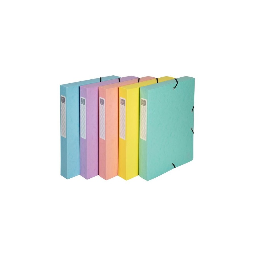 CARP.PROY.EXACOMPTA CARTON A4 2.5 cm SUR