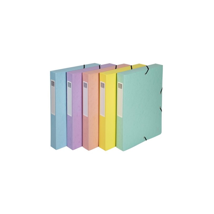 CARP.PROY.EXACOMPTA CARTON A4 6 cm SURT.