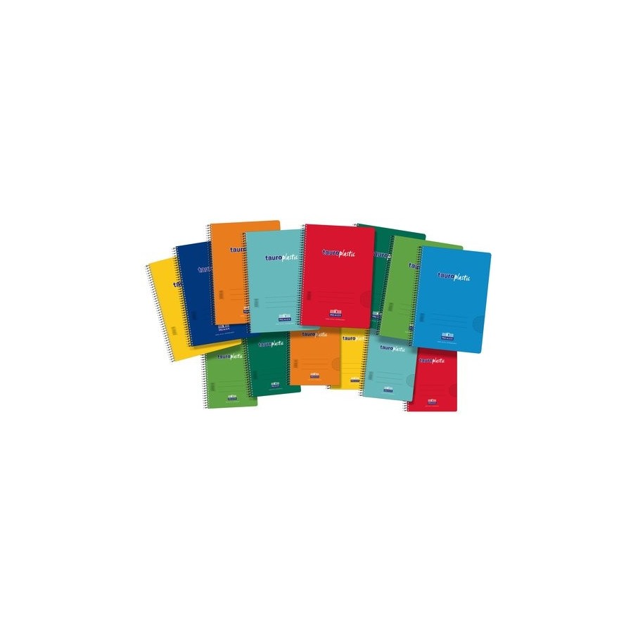 BLOC ZORR.PP Fº 80h CD.4 90g COL.SURTID