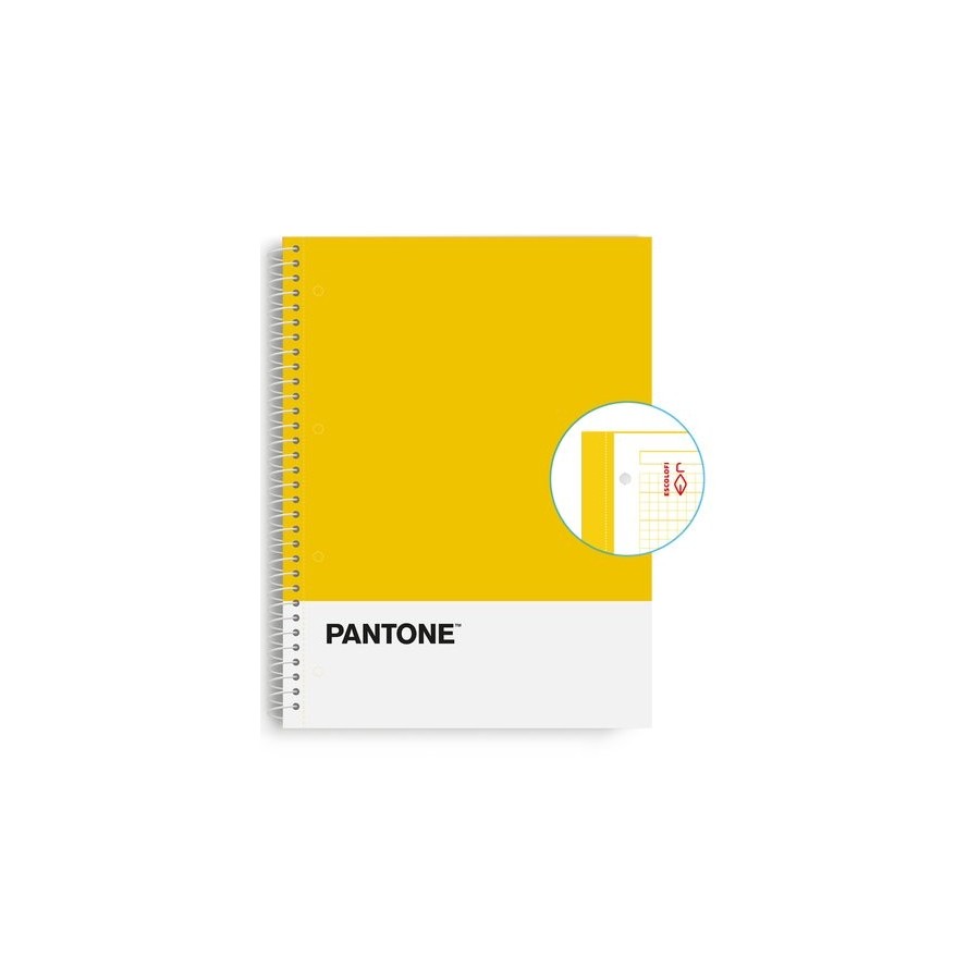 BLOC ESCOL.PANTONE A4 BASIC 80h 5x5 AM