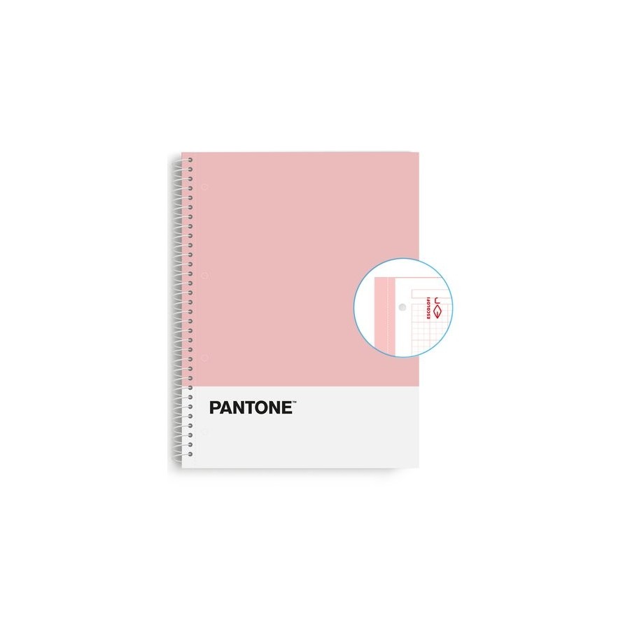 BLOC ESCOL.PANTONE A4 BASIC 80h 5x5 RS