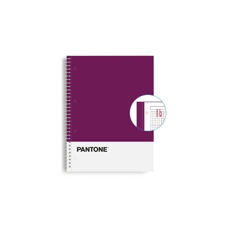 BLOC ESCOL.PANTONE A4 BASIC 80h 5x5 VL