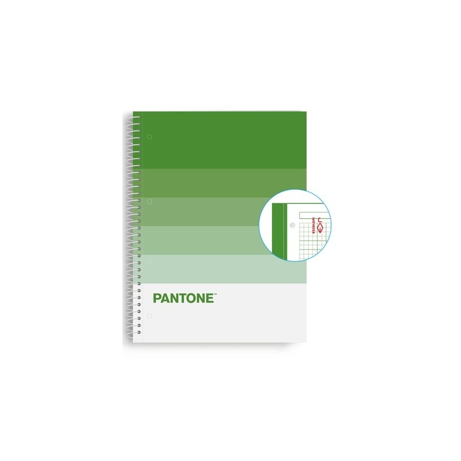 BLOC ESCOL.PANTONE A4 SPEAKS 80h 5x5 NT