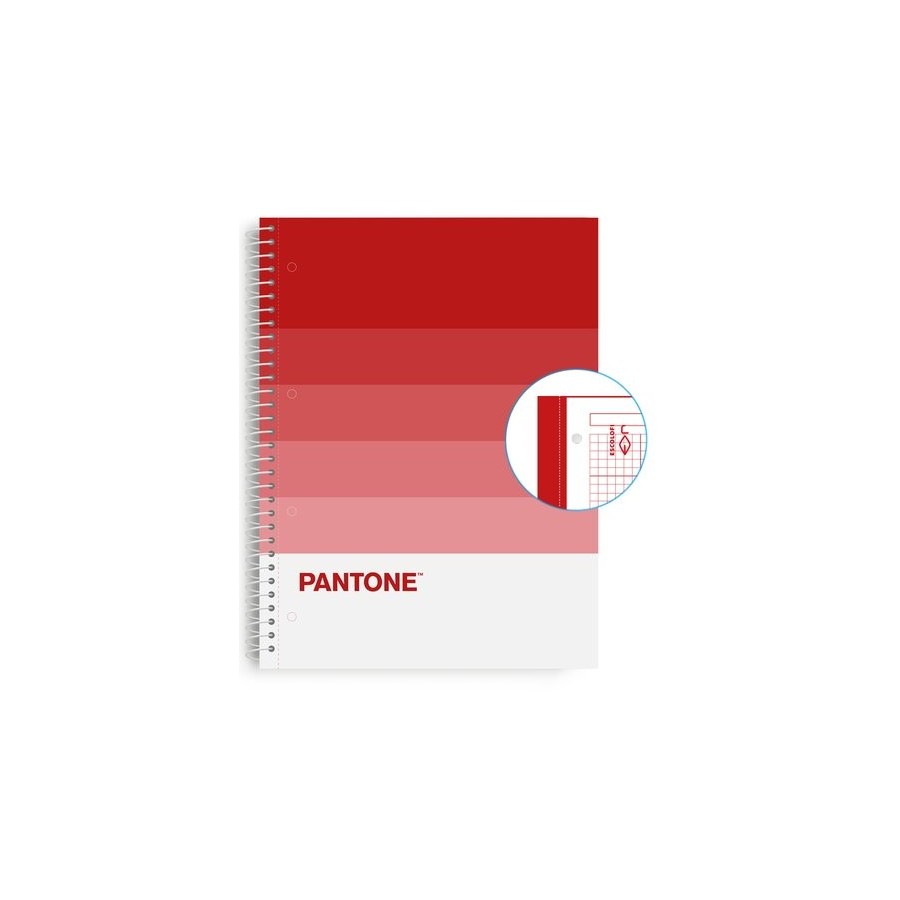 BLOC ESCOL.PANTONE A4 SPEAKS 80h 5x5 PS
