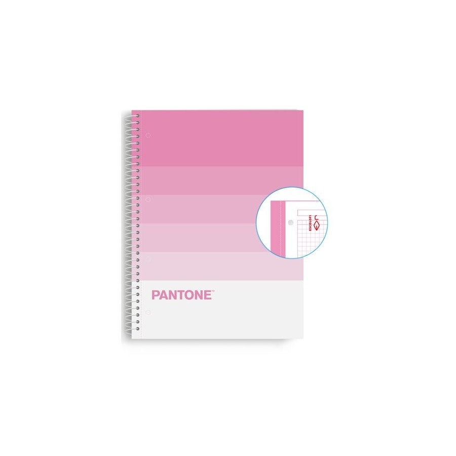 BLOC ESCOL.PANTONE A4 SPEAKS 80h 5x5 SW