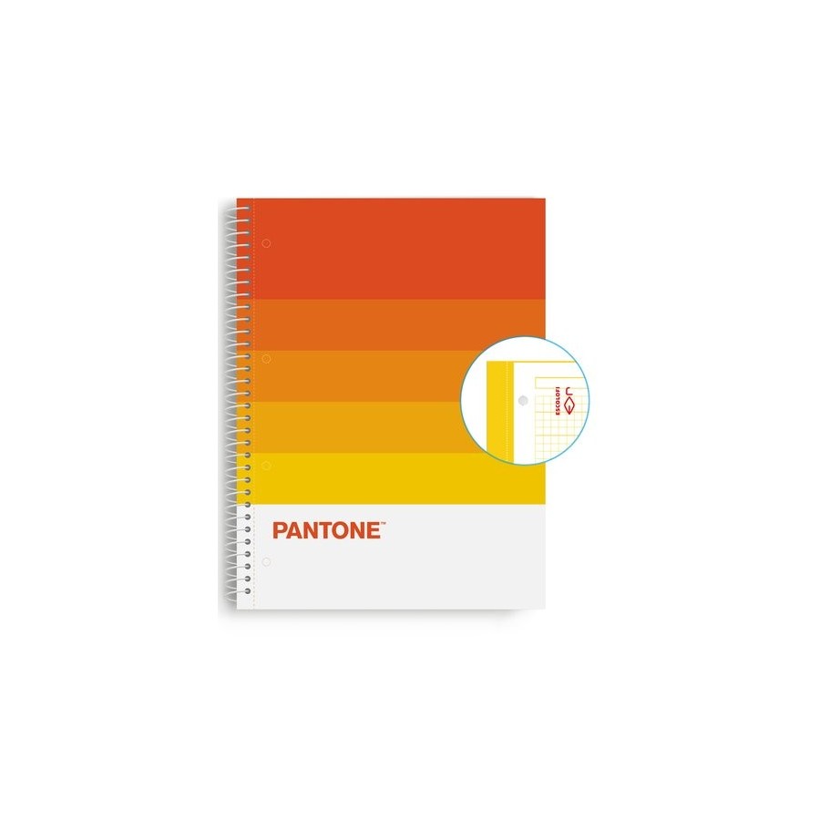 BLOC ESCOL.PANTONE A4 SPEAKS 80h 5x5 WR