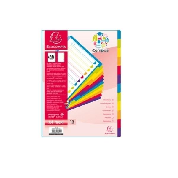 EXACLAIR SEPARADORES PP A4+ 12 POSICIONES CAMPUS